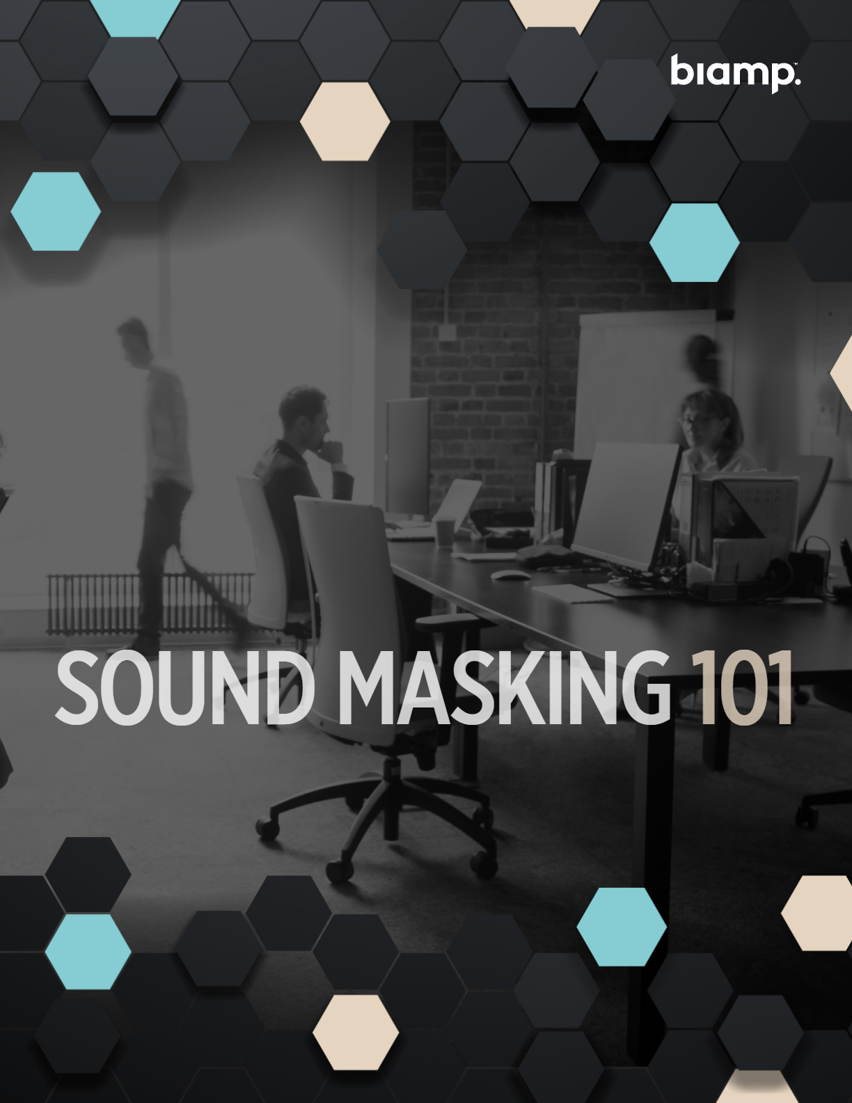 brochure sound masking 101
