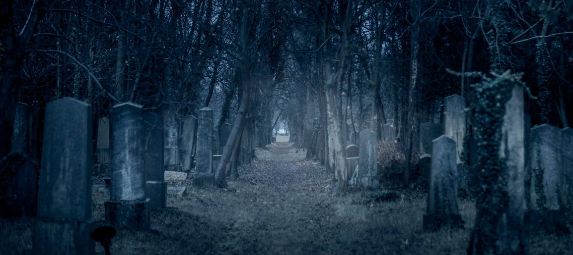 Foggy cemetery path lined with old gravestones and bare trees at dusk, eerie haunted graveyard landscape with moody blue tones.
