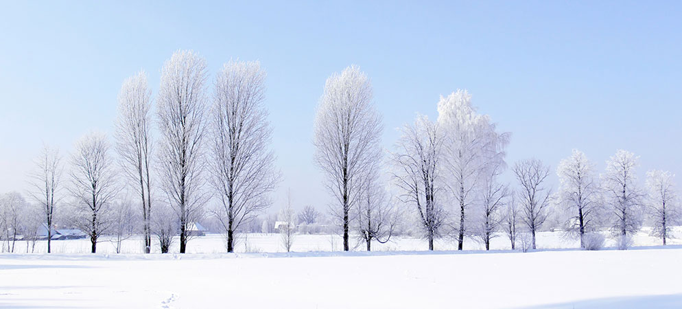 Snow-covered winter landscape with frosted bare trees under clear blue sky, serene countryside scene and cold weather nature background