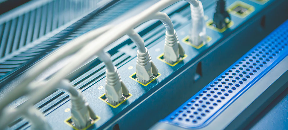 Close-up of Ethernet cables plugged into network switch ports, IT infrastructure and enterprise networking connectivity setup