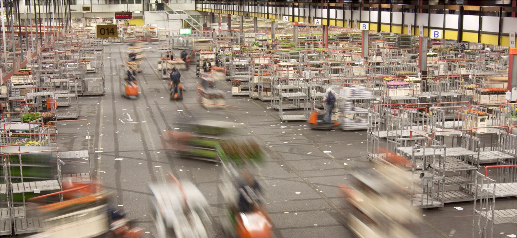 Busy warehouse distribution center with workers and pallet carts moving inventory, industrial logistics and order fulfillment operation