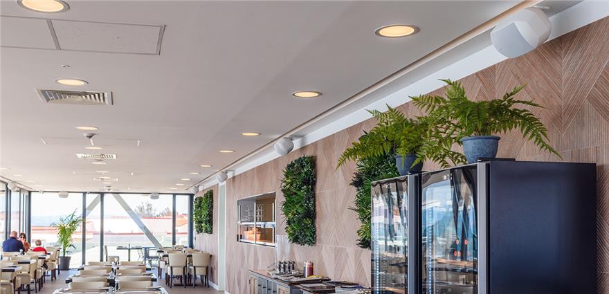 Contemporary seaside restaurant with wood accent wall, greenery, display fridges and rows of cream chairs by large windows.
