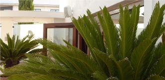 Close‑up of lush green palm plants outside a modern white building with open wooden door and wall‑mounted speaker.