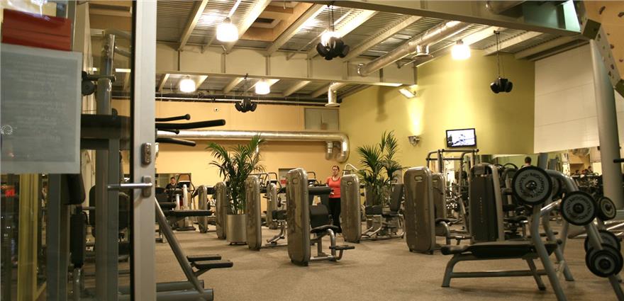 Wide view into a gym with numerous weight machines, free weights, and potted plants under high ceilings.