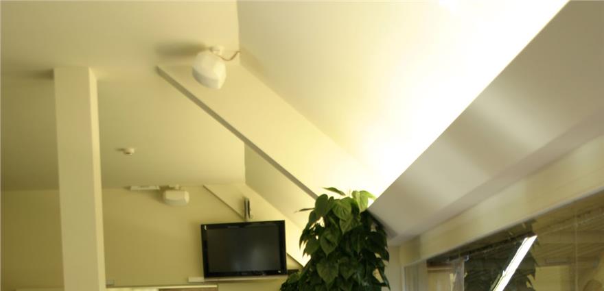 Interior corner with sloped white ceiling, wall-mounted TV, and potted plant beneath ceiling speakers.