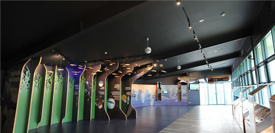 Modern visitor center or museum hall with curved, themed exhibit panels and large windows along one side.