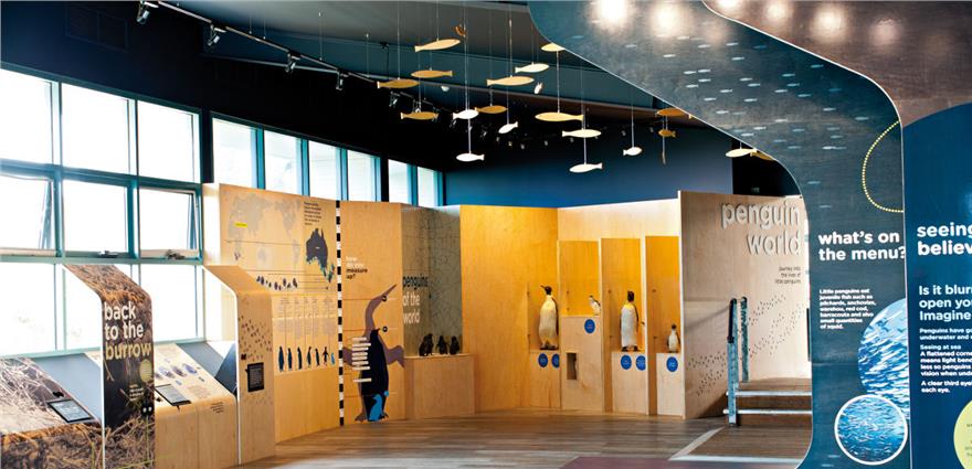 Interactive “Penguin World” museum exhibit with wooden displays, hanging fish decorations, and educational panels.