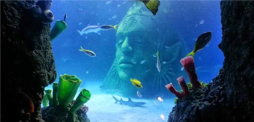 Underwater aquarium scene with fish swimming around a giant submerged stone face and colorful corals.