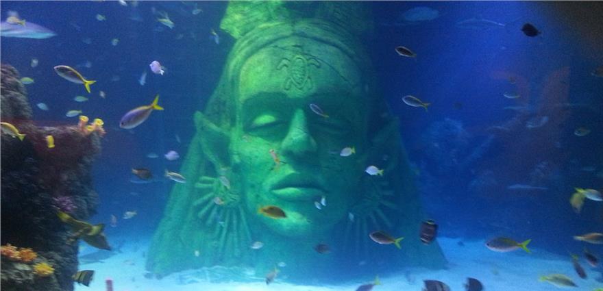 Large submerged green statue head surrounded by colorful tropical fish in an aquarium.