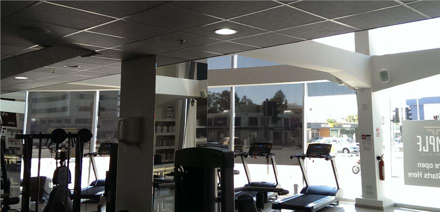 Front area of a gym with treadmills facing large street-facing windows and various strength machines nearby.