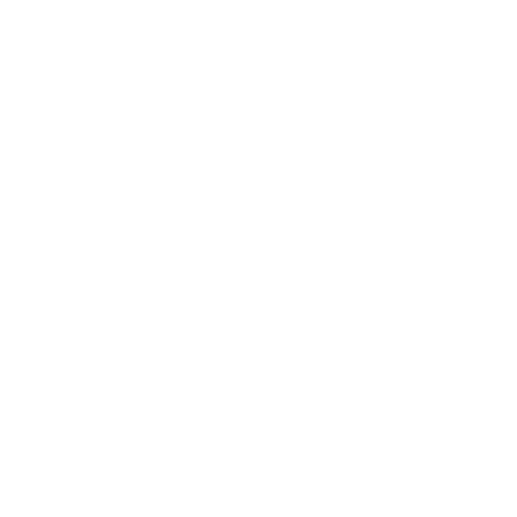 Linked in Social Icon white text